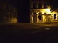 Blue penguins shouting in Oamaru, NZ
