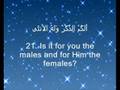 MUST LISTEN (Mishary-Surah Najm) One of the best I've heard