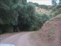 Gerede