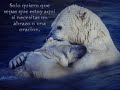 DISTANCIA - RABITO DISTANCIA - RABITO