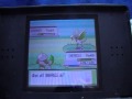 Shining at the speed of light... shiny Skarmory!