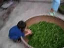 Rintaro in Longjing Tea House