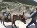 Artists for Conservation Flag Expedition #2: Video 1 Artists for Conservation Flag Expedition #2: Video 1