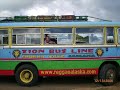 General Trees Mini Bus