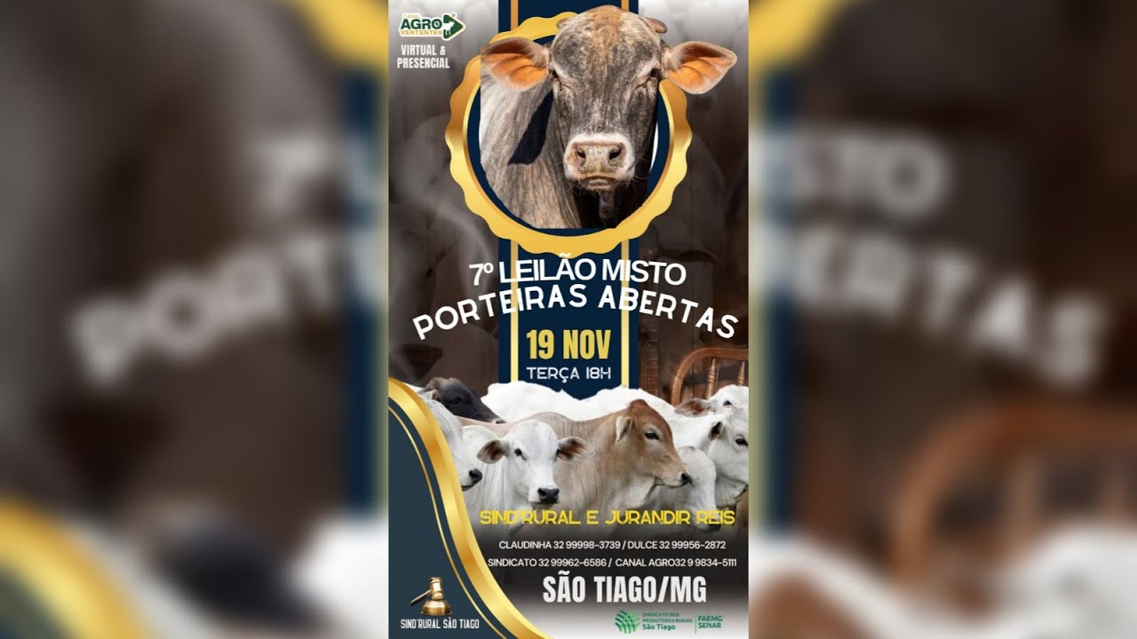 7º LEILÃO MISTO PORTEIRAS ABERTAS - SÃO TIAGO/MG - 19/11/2024