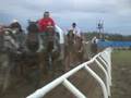 Chuckwagon Death