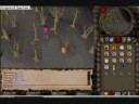 the best Runescape bug!!