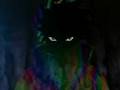 Pein ~Rule the World~