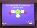 PulseTalks: Carbon Dioxide in the Ocean
