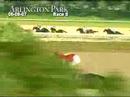 ARLINGTON PARK, 2007-06-08, Race 8