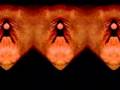 videos de Universal Vibrations 2