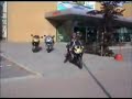 gajo da mota gajo da mota