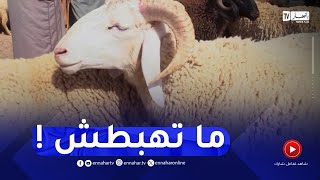 رغم تساقط الأمطار..  موالون الأسعار لا تنخفض!