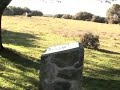 NOTICIA: La dehesa