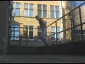 Traceur Chris Grant [glasgow parkour] Autumn Training