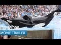 'Blackfish' Trailer | Moviefone