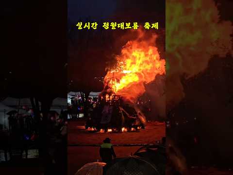 실시간 양재동(with 달집) #fire #정월대보름