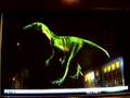 Edmonton Telus World of Science Reptilians