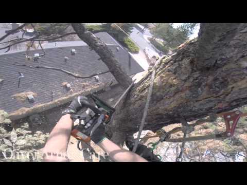 how to remove central line