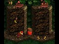 Donkey Kong Country--Vulture Culture Speedrun
