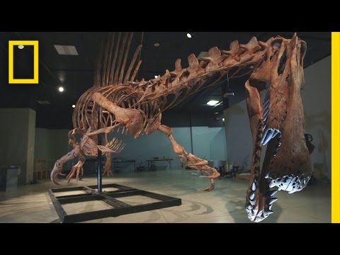 Spinosaurus