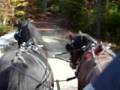 videos de Driving Carriage horses across dam in NH