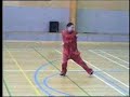 Cannon Fist form Chen Tai chi