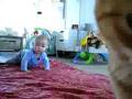videos de Erik Crawling