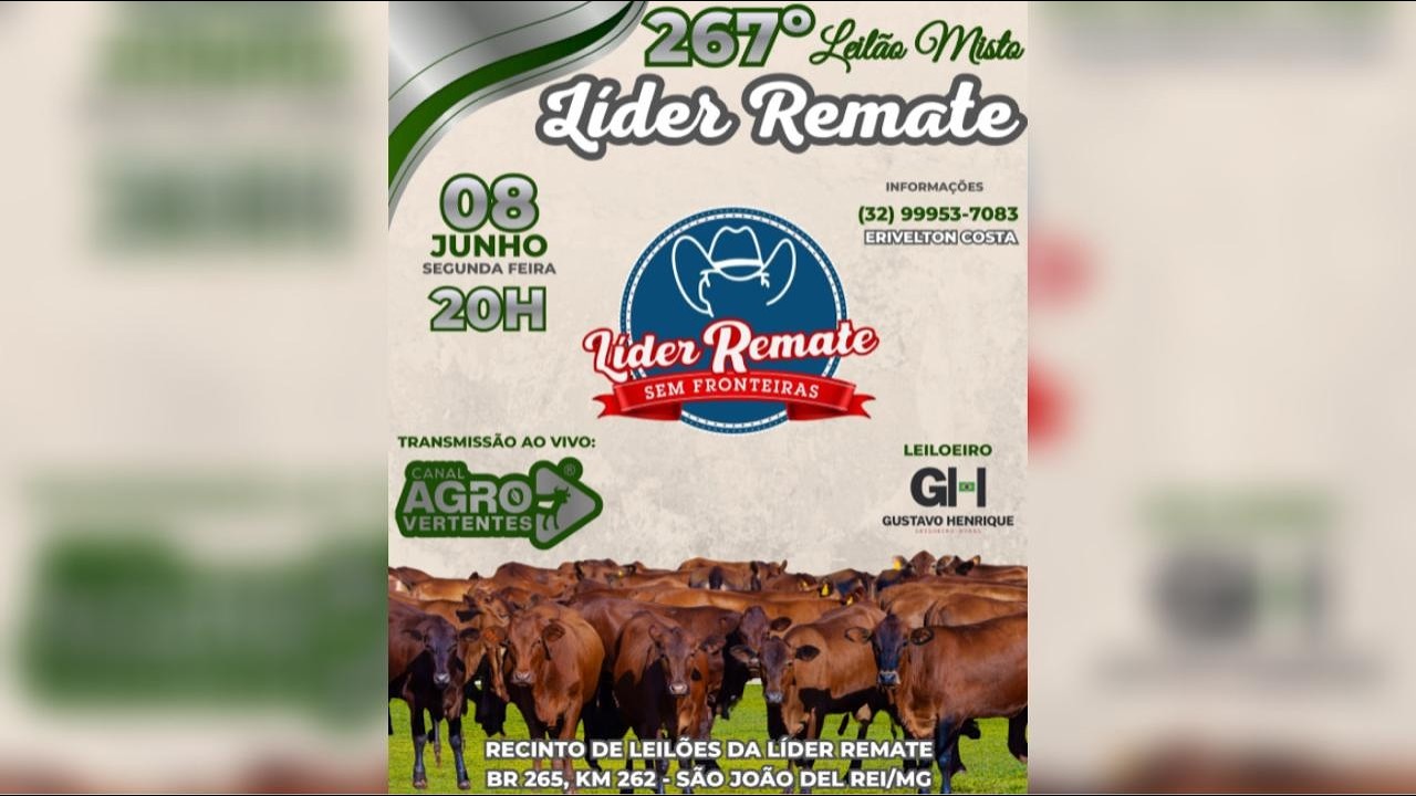 267º LEILÃO MISTO LÍDER REMATE - SÃO JOÃO DEL REI/MG - 08/06/2026