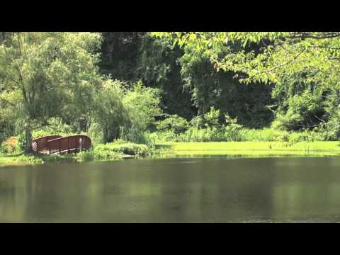 how to meditate compassion