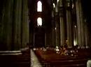Il Duomo de Milano