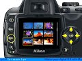 Nikon D60 - Basic Playback Functions Nikon D60 - Basic Playback Functions