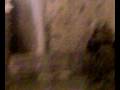 videos de i maghi ru pallone 2