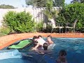 David double backflip David double backflip