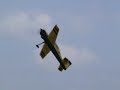 Extreme Flight 100cc Yak at RD-RC