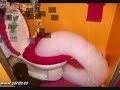 Imagenes Insolitas