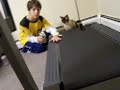 Treadmill kitty Kat #2 Treadmill kitty Kat #2