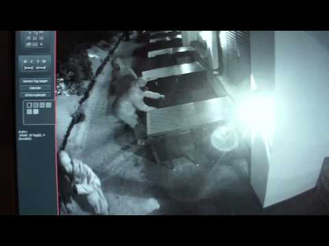 frendsvision - Frends Crew goes out for a night out in Laax at the Burton European Open and end up on the ol' surveillance camera... BUSTED!