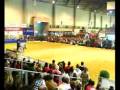 videos de carrusel4amazonas.flv