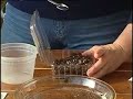 Mini Green Houses