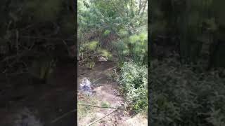 لد العوادين مرج ابن عامر التل البركاني والعين