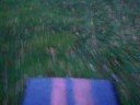 Cold Start and Ride the Race Tractor