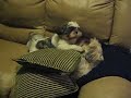 Sammy pinning Jessie 2