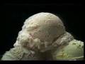 Thrifty Ice Cream