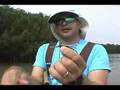 3 tips for salt water fly fishing.