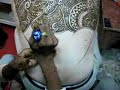 mehndi on the back 3