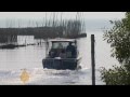 Thailand's flood waters threaten marine life