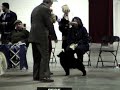 Best in show line up March 4,2007 New Jersey Best in show line up March 4,2007 New Jersey