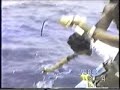 White Marlin fishing in Cancun