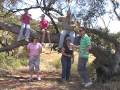 Walk Like a Geocacher